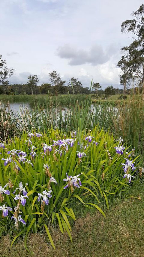 Hazelcreek Cottages - Whitsundays Accommodation 1