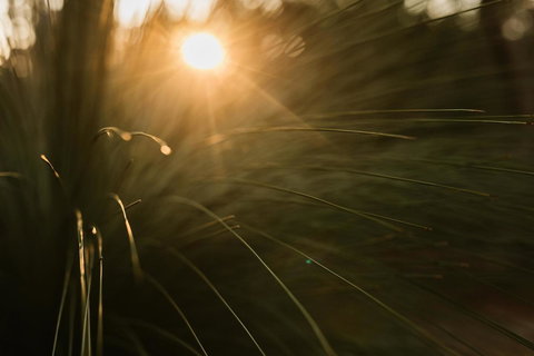 Bay Of Fires Bush Retreat - Whitsundays Accommodation 26