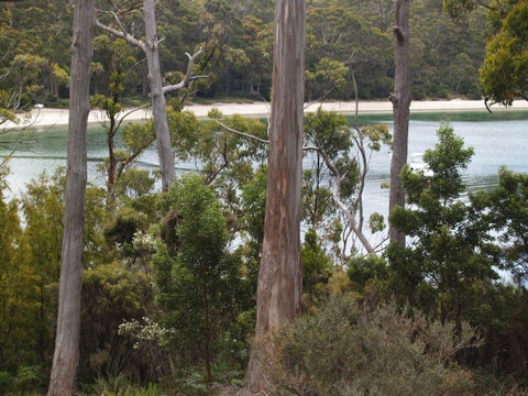 Stewarts Bay Lodge - Whitsundays Accommodation 23