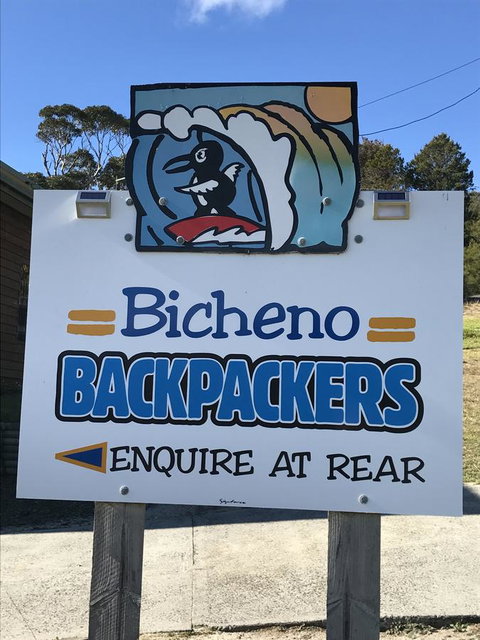 Bicheno Backpackers - Whitsundays Accommodation 4