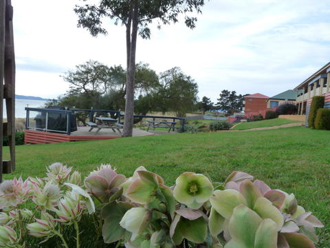 Swansea Motor Inn Tasmania - Whitsundays Accommodation 17