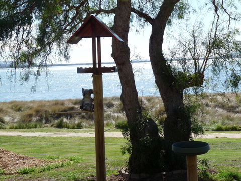 Swansea Motor Inn Tasmania - Whitsundays Accommodation 20