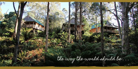 Lemonthyme Wilderness Retreat - Whitsundays Accommodation 20