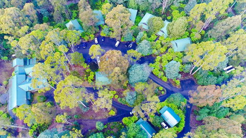Lemonthyme Wilderness Retreat - Whitsundays Accommodation 1