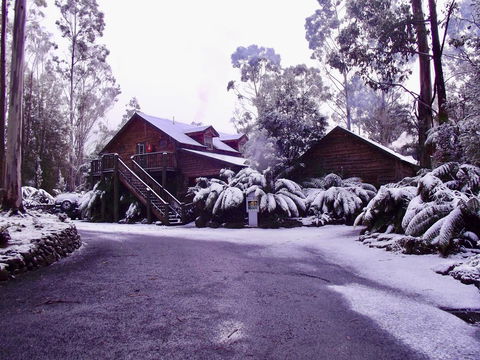 Lemonthyme Wilderness Retreat - Whitsundays Accommodation 12