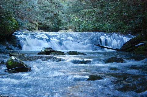 Lemonthyme Wilderness Retreat - Whitsundays Accommodation 10