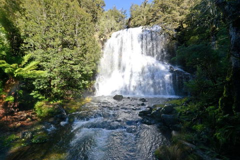 Lemonthyme Wilderness Retreat - Whitsundays Accommodation 19