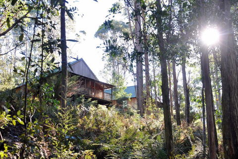 Lemonthyme Wilderness Retreat - Whitsundays Accommodation 25