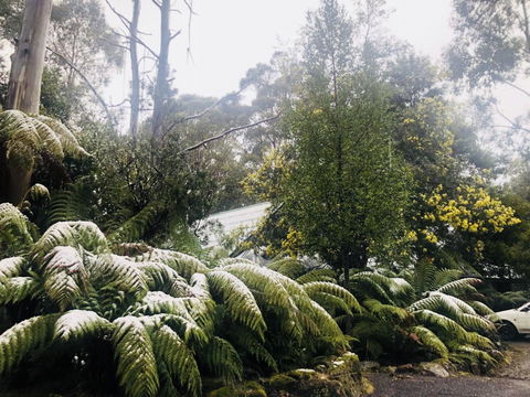Lemonthyme Wilderness Retreat - Whitsundays Accommodation 16