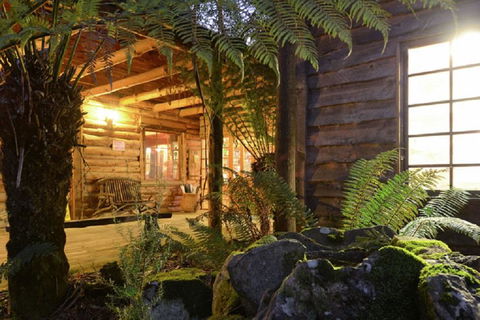 Lemonthyme Wilderness Retreat - Whitsundays Accommodation 27