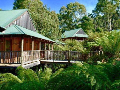 Lemonthyme Wilderness Retreat - Whitsundays Accommodation 11