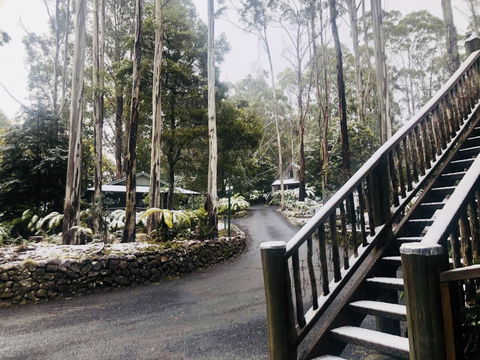 Lemonthyme Wilderness Retreat - Whitsundays Accommodation 15
