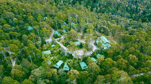 Lemonthyme Wilderness Retreat - Whitsundays Accommodation 0