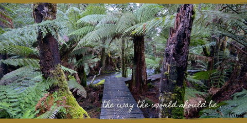 Lemonthyme Wilderness Retreat - Whitsundays Accommodation 17