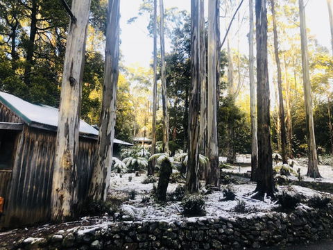 Lemonthyme Wilderness Retreat - Whitsundays Accommodation 6