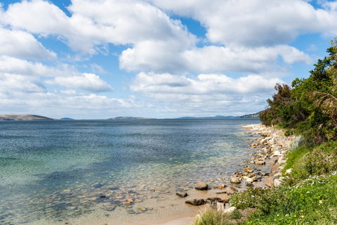 Litora Accommodation - Whitsundays Accommodation 27