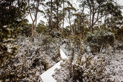 Cradle Mountain Hotel - Whitsundays Accommodation 6