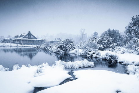 Peppers Cradle Mountain Lodge - Whitsundays Accommodation 24