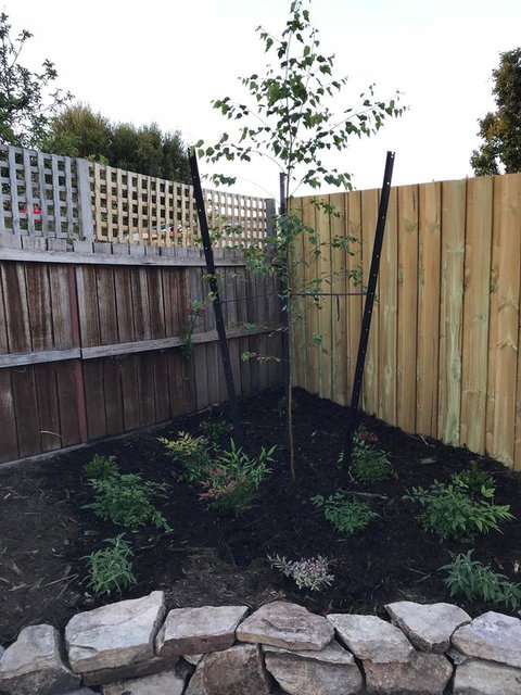 Self Contained Beach View Apartment - Whitsundays Accommodation 11