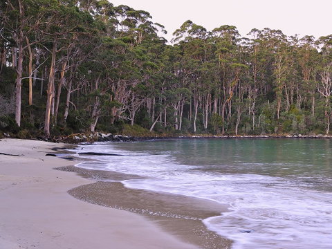 NRMA Port Arthur Holiday Park - Whitsundays Accommodation 41