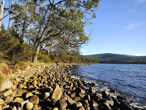 NRMA Port Arthur Holiday Park - Whitsundays Accommodation 0