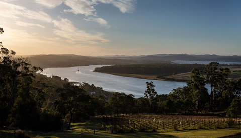 Domescapes In The Vines - Whitsundays Accommodation 10