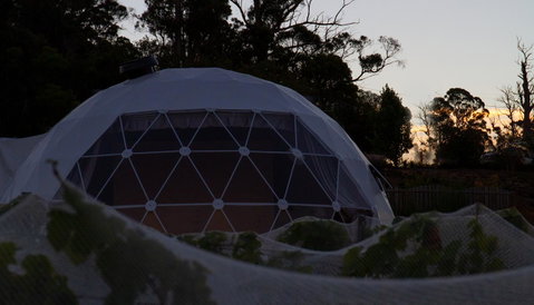 Domescapes In The Vines - Whitsundays Accommodation 12