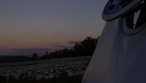 Domescapes In The Vines - Whitsundays Accommodation 4
