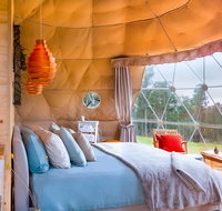 Domescapes in the Vines - Whitsundays Accommodation