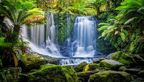 Domescapes In The Vines - Whitsundays Accommodation 13