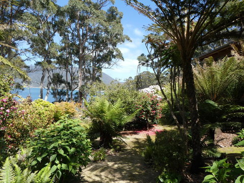 Osprey Lodge & Bungalow - Whitsundays Accommodation 6