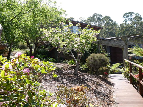 Osprey Lodge & Bungalow - Whitsundays Accommodation 20