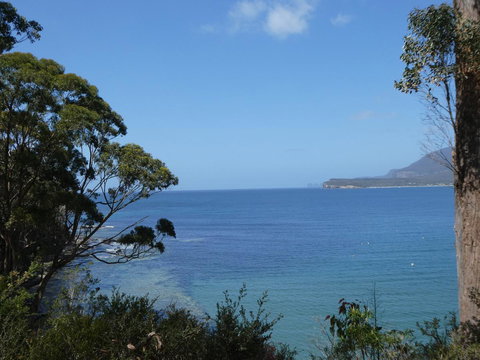 Osprey Lodge & Bungalow - Whitsundays Accommodation 3