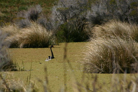 Cloudy Bay Beach House - Whitsundays Accommodation 15
