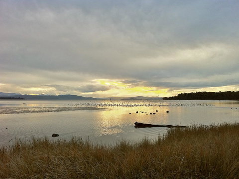Cloudy Bay Beach House - Whitsundays Accommodation 11