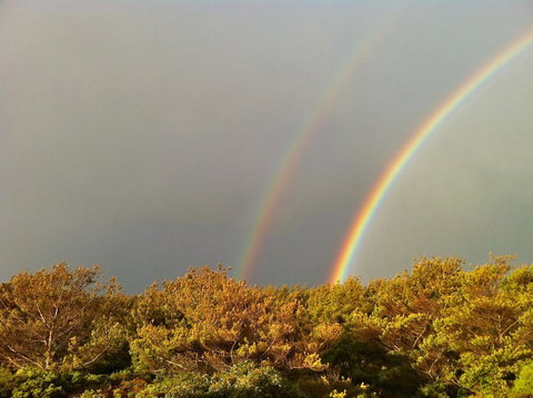 Cloudy Bay Beach House - Whitsundays Accommodation 44