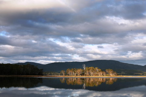 Cloudy Bay Beach House - Whitsundays Accommodation 12