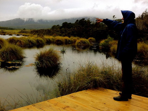 Cloudy Bay Beach House - Whitsundays Accommodation 35