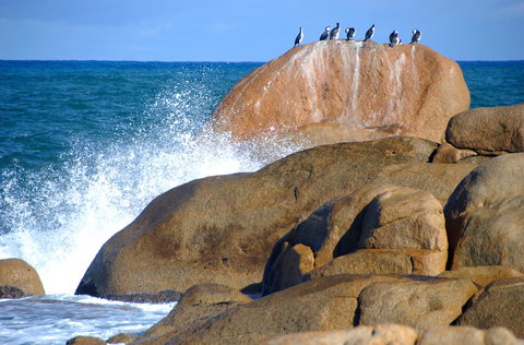 Cloudy Bay Beach House - Whitsundays Accommodation 29