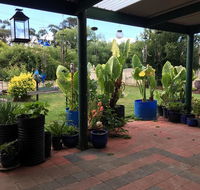 Blue Wren Bungalow - Whitsundays Accommodation