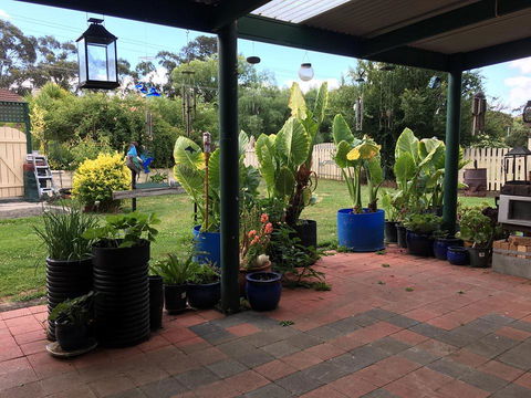 Blue Wren Bungalow - Whitsundays Accommodation 0