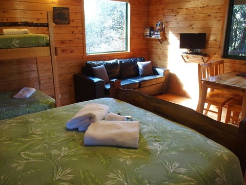 Cradle Highlander - Whitsundays Accommodation 34