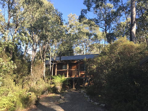 Cradle Highlander - Whitsundays Accommodation 14