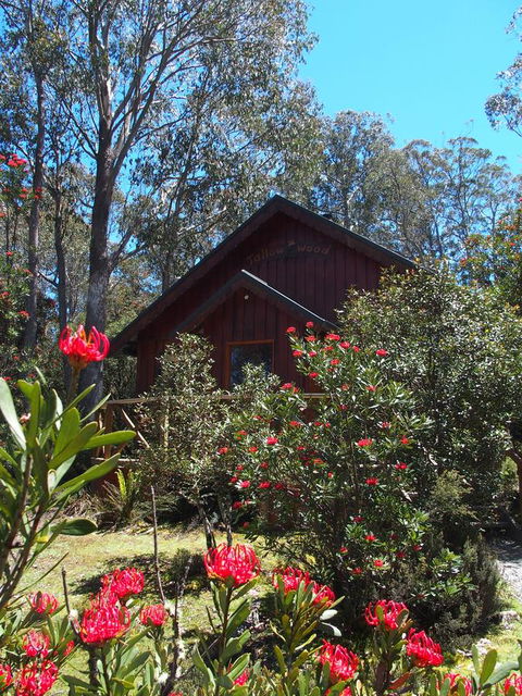 Cradle Highlander - Whitsundays Accommodation 0