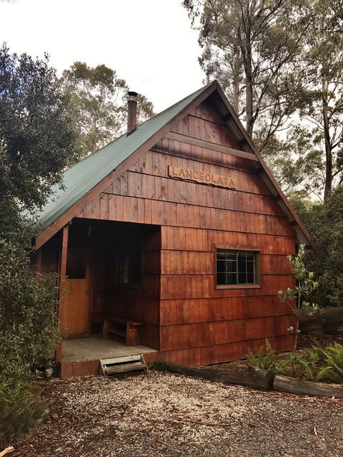 Cradle Highlander - Whitsundays Accommodation 3