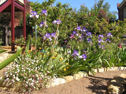 Bendalls Bed And Breakfast - Whitsundays Accommodation 10
