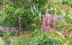 Bendalls Bed And Breakfast - thumb 14