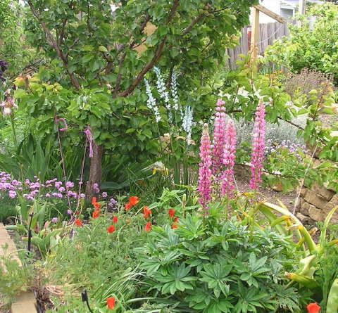 Bendalls Bed And Breakfast - Whitsundays Accommodation 14