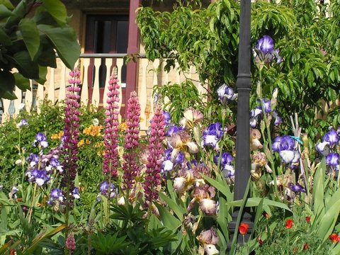 Bendalls Bed And Breakfast - Whitsundays Accommodation 19