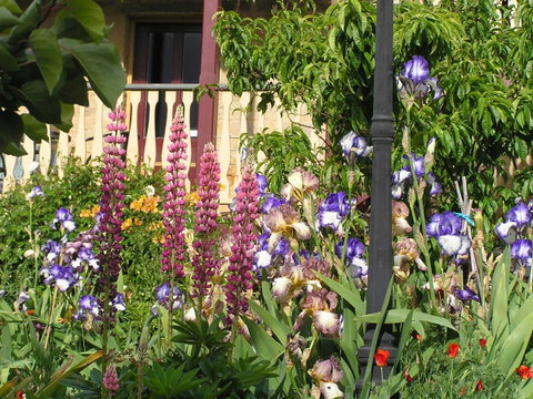Bendalls Bed And Breakfast - Whitsundays Accommodation 8